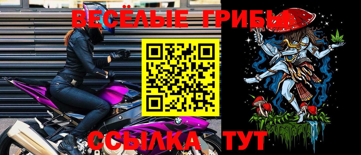 Богородск  Галлюциногенные грибы мицелий  Вход с VPN 