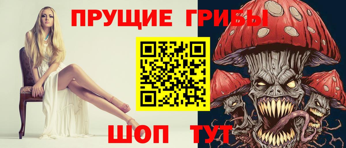 Галлюциногенные грибы Psilocybine cubensis Богородск